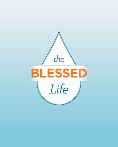 The Blessed Life By Robert Morris (Book)